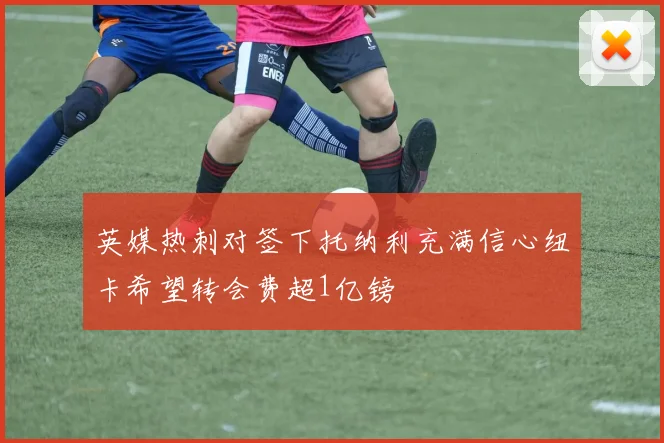 英媒热刺对签下托纳利充满信心纽卡希望转会费超1亿镑